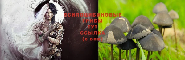 мет Абаза