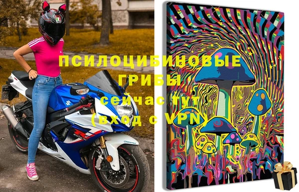сатива Абдулино
