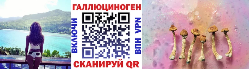 Галлюциногенные грибы прущие грибы Комсомольск-на-Амуре